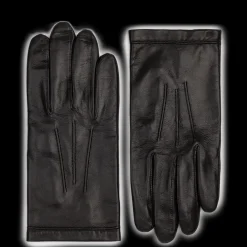 Gants